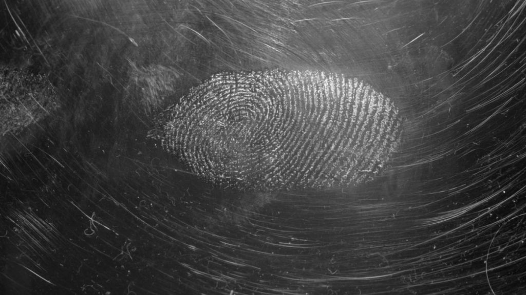 Otisak prstiju, vjerodajnice, zaštita, kibernetički kriminal Unsplash